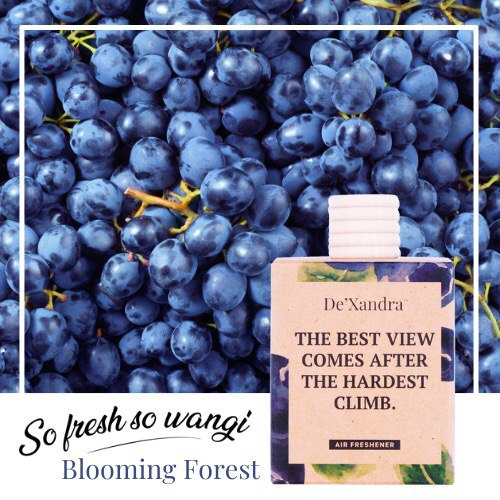 DE'XANDRA CAR PERFUME & AIR FRESHENER