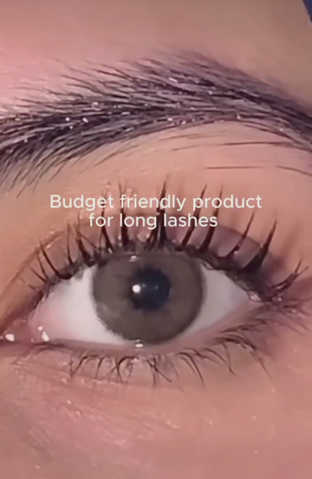 🇸🇬✨️ LASHBOSS RAPUNZEL THICKENING SERUM FOR LASH AND BROW