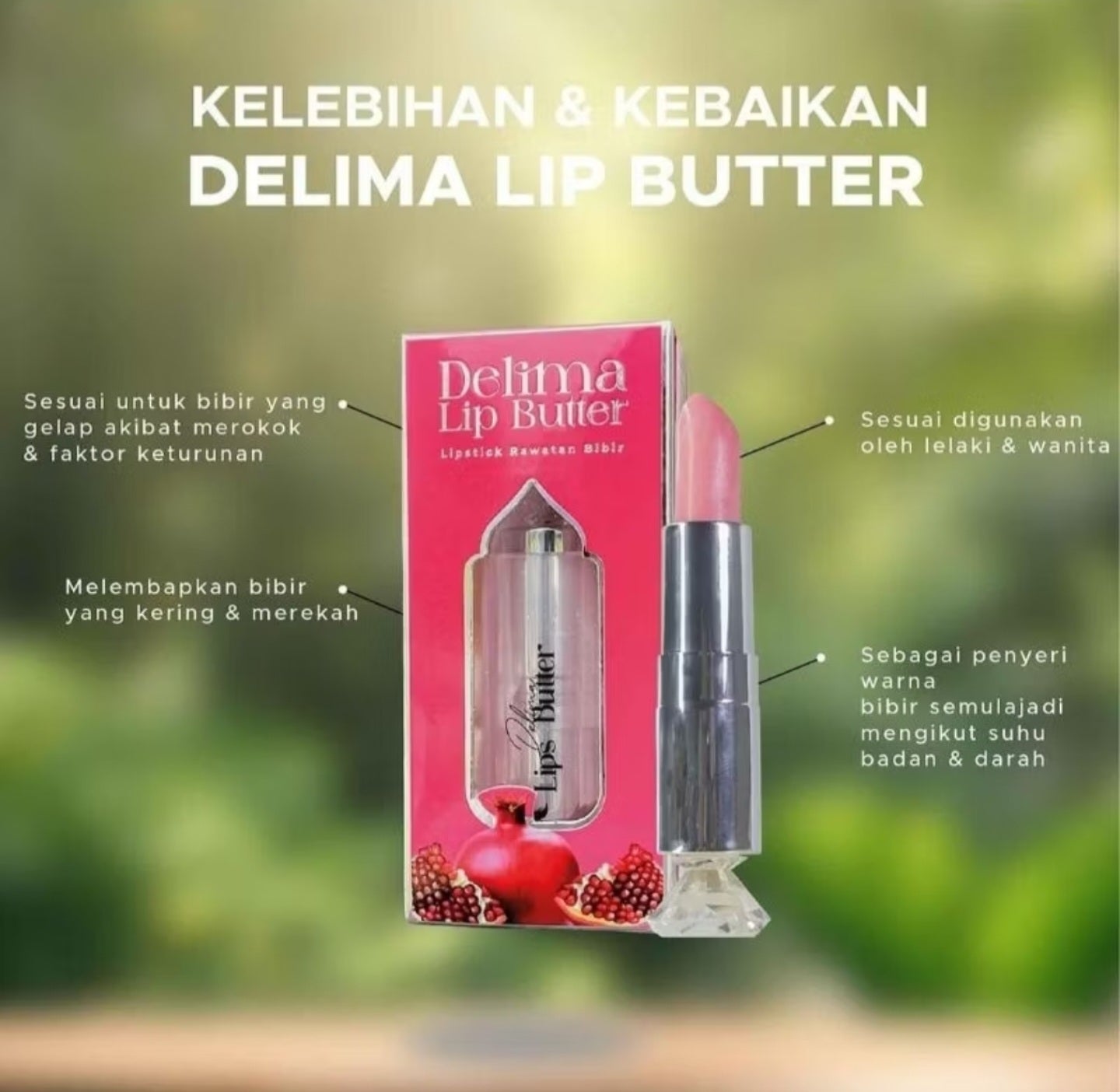 DHERBS DELIMA LIP BUTTER