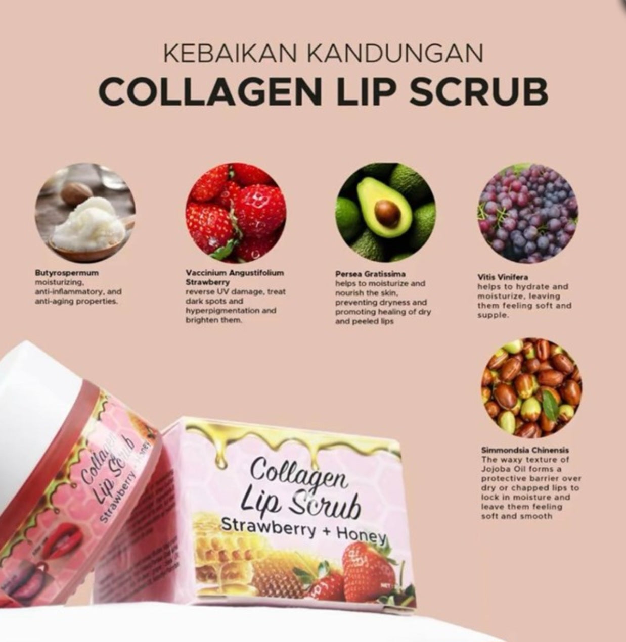 DHERBS COLLAGEN LIP SCRUB